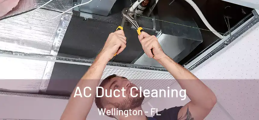AC Duct Cleaning Wellington - FL