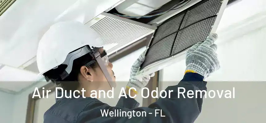 Air Duct and AC Odor Removal Wellington - FL