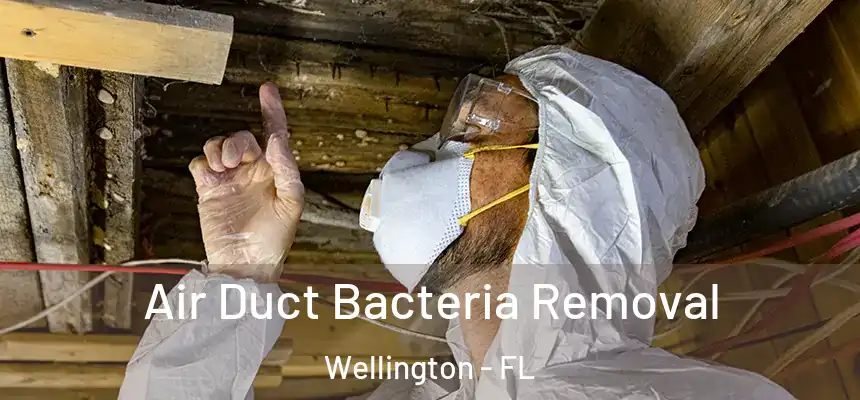Air Duct Bacteria Removal Wellington - FL