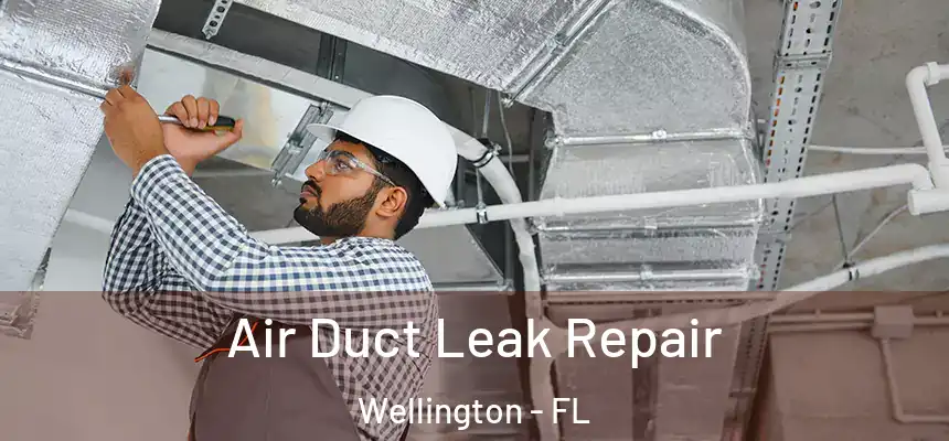 Air Duct Leak Repair Wellington - FL