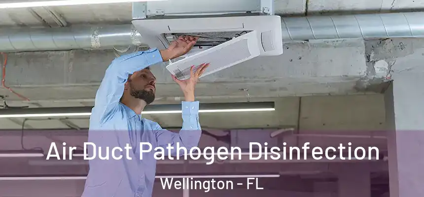 Air Duct Pathogen Disinfection Wellington - FL