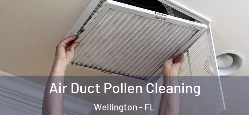 Air Duct Pollen Cleaning Wellington - FL