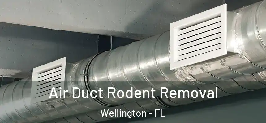 Air Duct Rodent Removal Wellington - FL