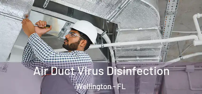 Air Duct Virus Disinfection Wellington - FL