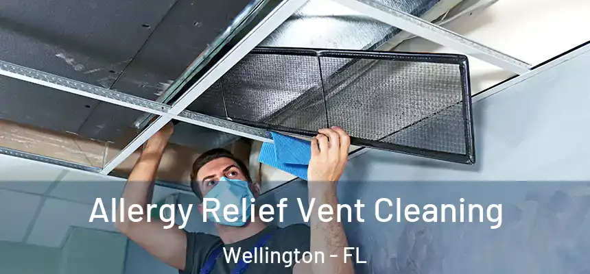 Allergy Relief Vent Cleaning Wellington - FL