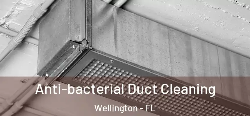 Anti-bacterial Duct Cleaning Wellington - FL