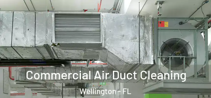 Commercial Air Duct Cleaning Wellington - FL