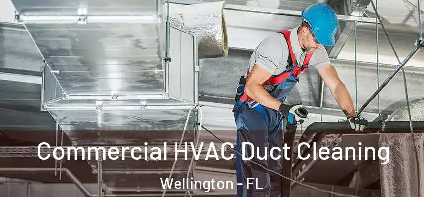 Commercial HVAC Duct Cleaning Wellington - FL