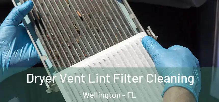 Dryer Vent Lint Filter Cleaning Wellington - FL