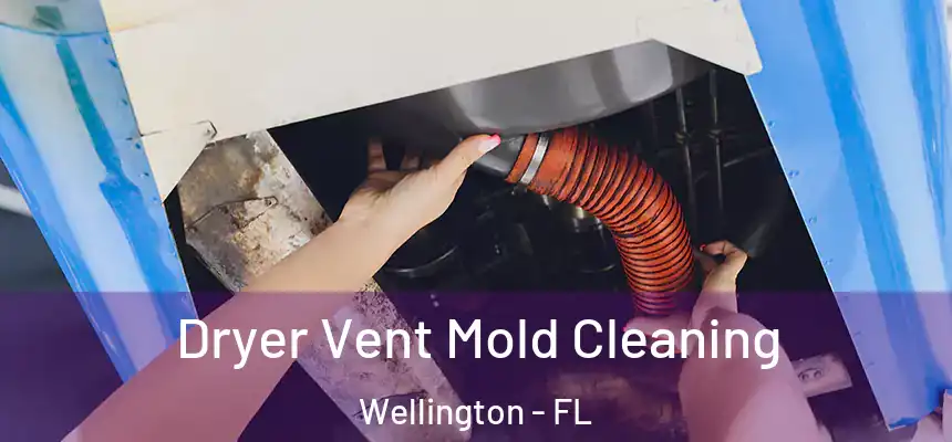 Dryer Vent Mold Cleaning Wellington - FL