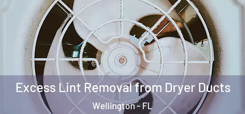 Excess Lint Removal from Dryer Ducts Wellington - FL