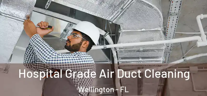 Hospital Grade Air Duct Cleaning Wellington - FL