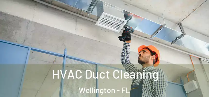 HVAC Duct Cleaning Wellington - FL