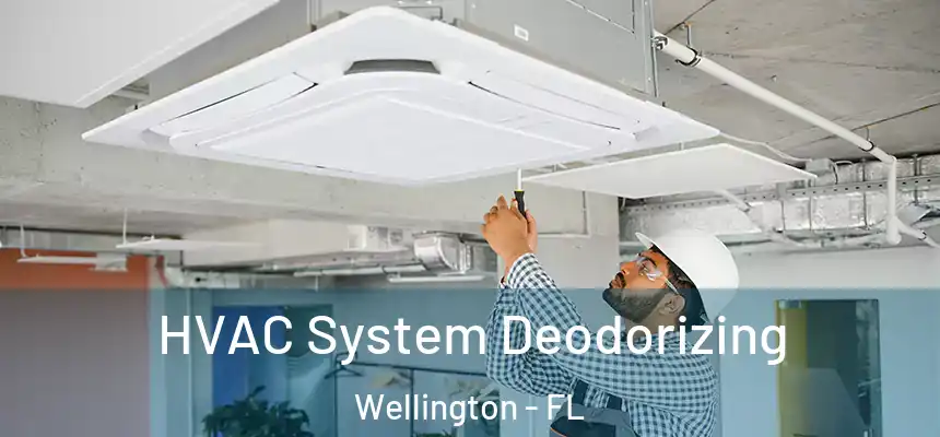HVAC System Deodorizing Wellington - FL