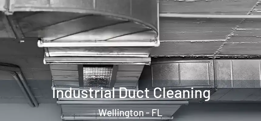 Industrial Duct Cleaning Wellington - FL