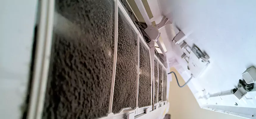 Preventive Air Duct Bacteria Removal in Wellington