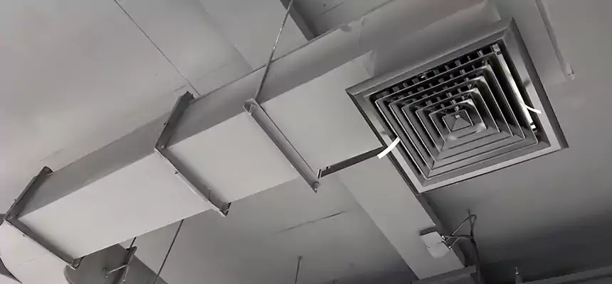 Restorative Allergy Relief Vent Cleaning – Coil, Blower & Housing Detail in Wellington