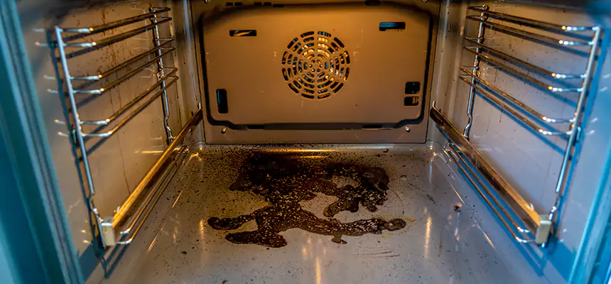 Our Dryer Vent Mold Cleaning Services in Wellington, FL