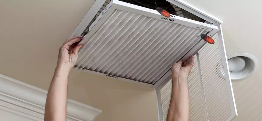 Our Insect Removal from Air Ducts Services in Wellington, FL