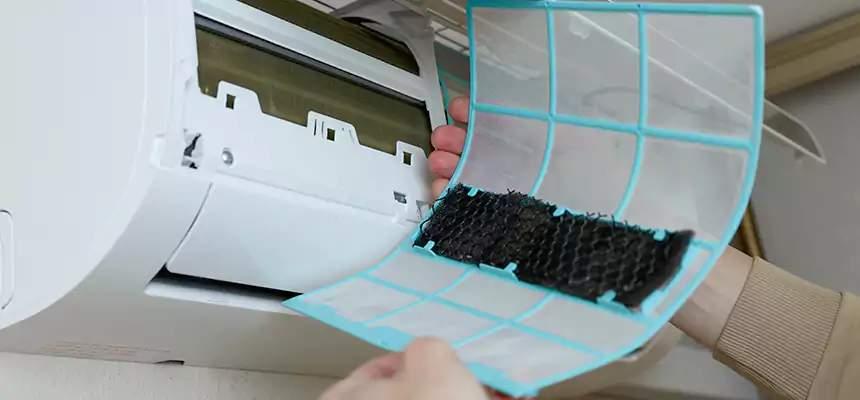 Gentle Ductwork Odor-Control Pet Dander Duct Cleaning in Wellington, FL