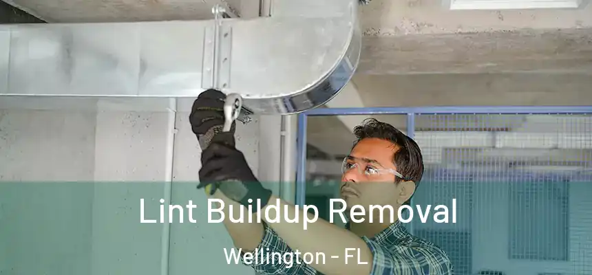 Lint Buildup Removal Wellington - FL