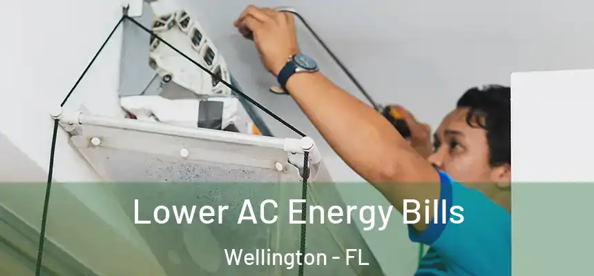 Lower AC Energy Bills Wellington - FL
