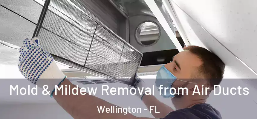 Mold & Mildew Removal from Air Ducts Wellington - FL