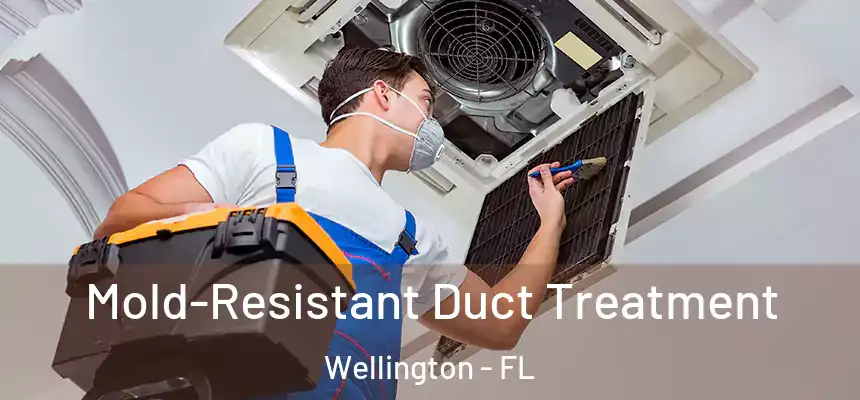Mold-Resistant Duct Treatment Wellington - FL