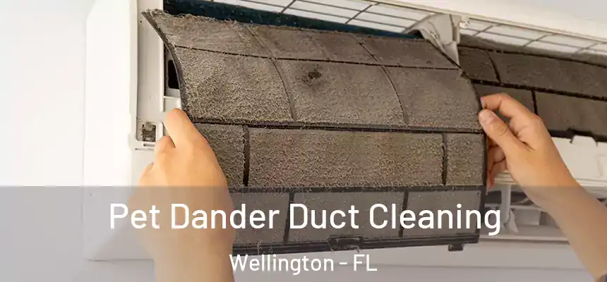 Pet Dander Duct Cleaning Wellington - FL