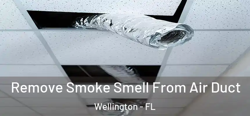 Remove Smoke Smell From Air Duct Wellington - FL