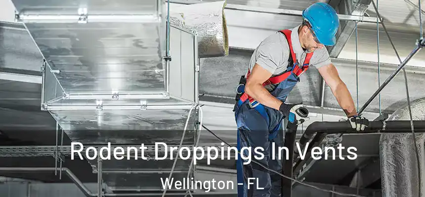 Rodent Droppings In Vents Wellington - FL
