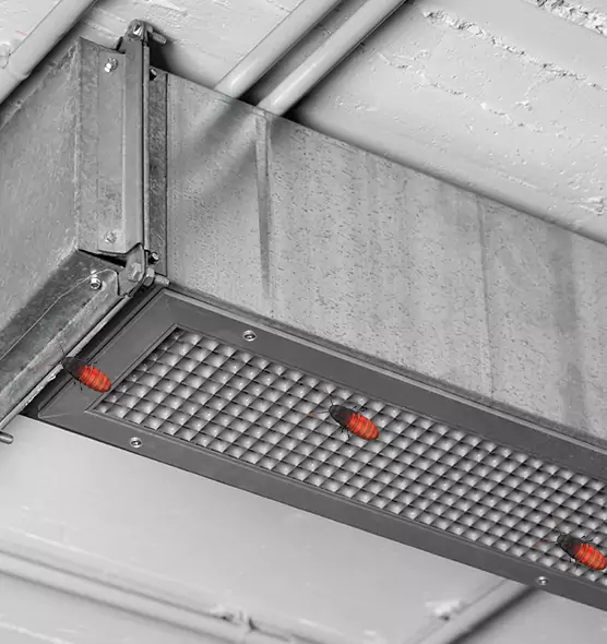 About Air Duct Cockroach Removal in Wellington, FL