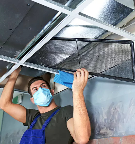 Professional Air Duct Pollen Cleaning in Wellington, FL