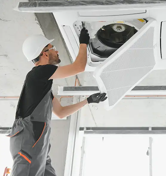 About Air Duct Rodent Removal in Wellington, FL