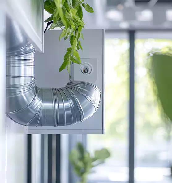 Professional Eco-Friendly Duct Cleaning Services in Wellington, FL