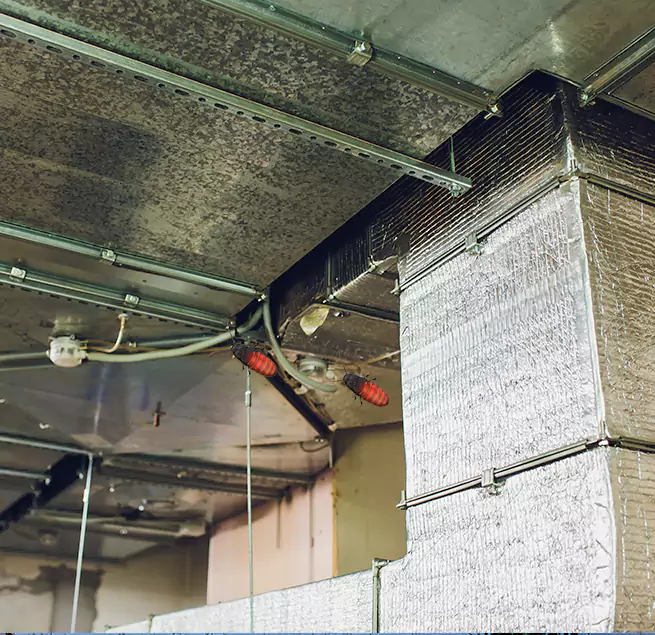 Why Homeowners & Businesses Trust Us in Wellington, FL?