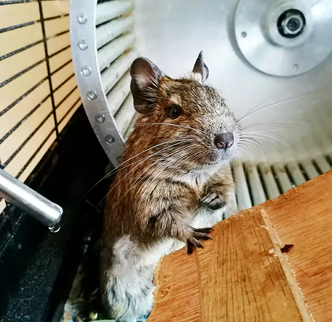 Why Homeowners & Businesses Trust Us Wellington, FL