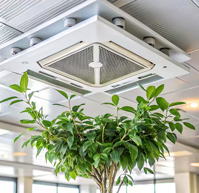 Why Homeowners & Businesses Trust Us in Wellington, FL