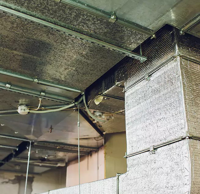 Why Homeowners & Businesses Trust Us in Wellington, FL?