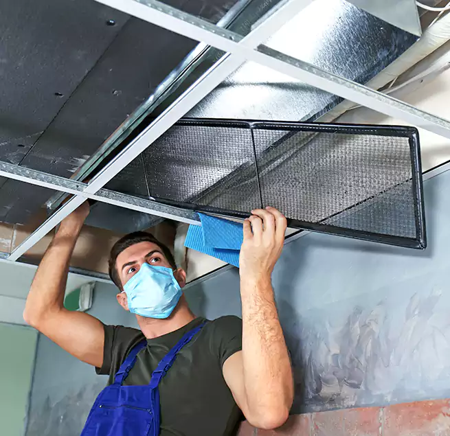 Why Homeowners Businesses Trust Us in Wellington, FL