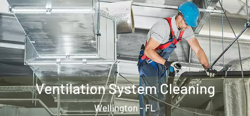 Ventilation System Cleaning Wellington - FL